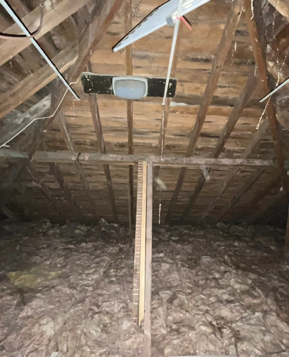Local Loft Insulation Installers Essex by The Loft Insulation Experts (5)