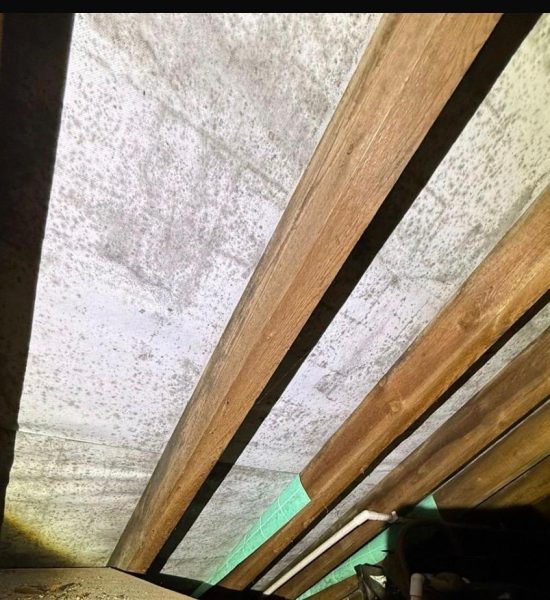 WhatsApp Image 2026 02 04 at 10.26.00